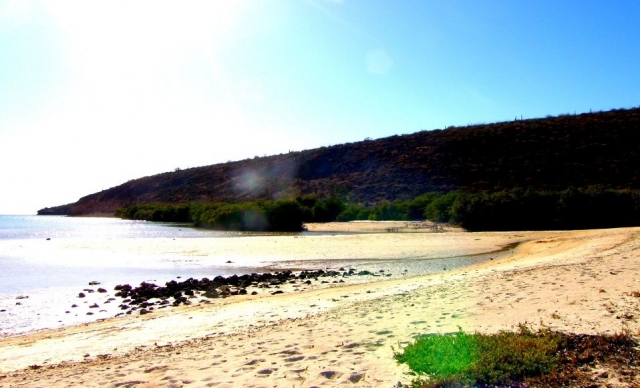  圣埃斯皮里图岛 